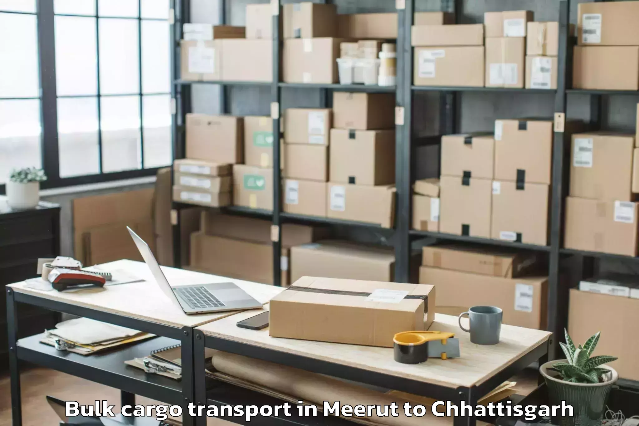 Top Meerut to Kalinga University Raipur Bulk Cargo Transport Available